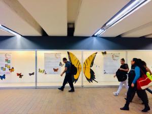 Butterflies of Mexico City in the Coyoacán metro station, CDMX.